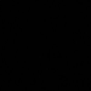 Meet your Posher, Sammy